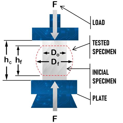 Compression Test of Food Materials of Convex Shape